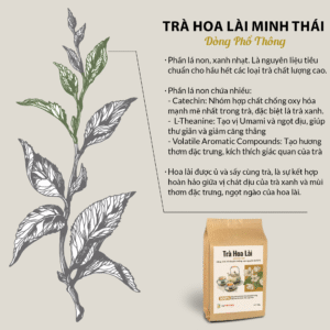 Trà Lài Minh Thái, Bảo Lộc – Túi 150g – Dòng Phổ Thông
